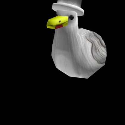 Sophisticated Seagull