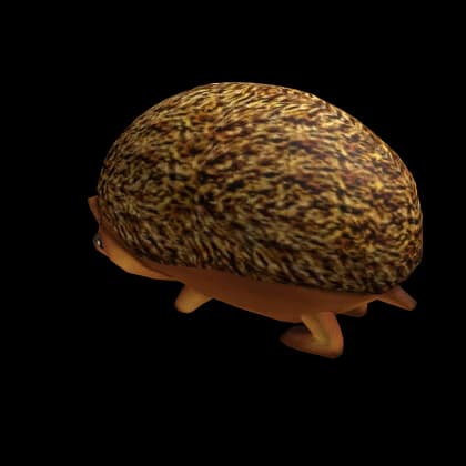 Hedgehog Friend