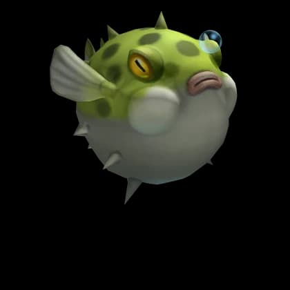 Puffy Puffer Fish