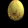 Golden Egg of Kings