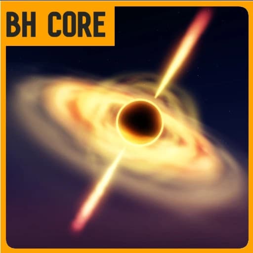 Black Hole Core