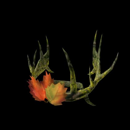 Wanwood Autumn King Crown