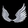 Guardian Angel Wings