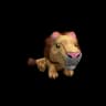 Hungry Lion Friend