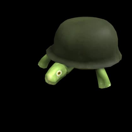 General Turtle