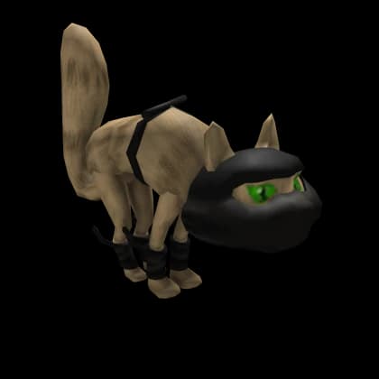 DarkAge Ninjas: Ninja Kitteh