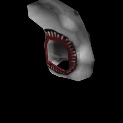 When Animals Attack : Shark Situations